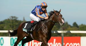 BATTLE-HARDENED: 'Tough warrior' Battle Of Marengo is taking the tried and tested route to Epsom