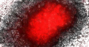 File photo of an embryonic stem cell. File photo of an embryonic stem cell.