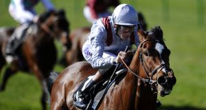 BIG DANGER: Toranado provides stiff opposition to Dawn Approach.