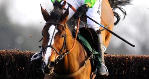Kauto Star will face a maximum of 13 rivals as he bids to record a remarkable fourth consecutive victory in the William Hill King George VI Chase at Kempton.