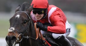 REBEL WITH A CAUSE: Rebel Rebellion should be suited by the track in the novice chase at Sandown today. Picture: Getty