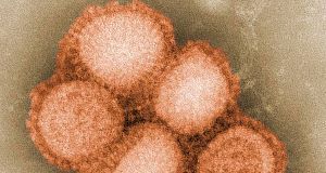 Swine flu jabs will be introduced into the workplace next month.
