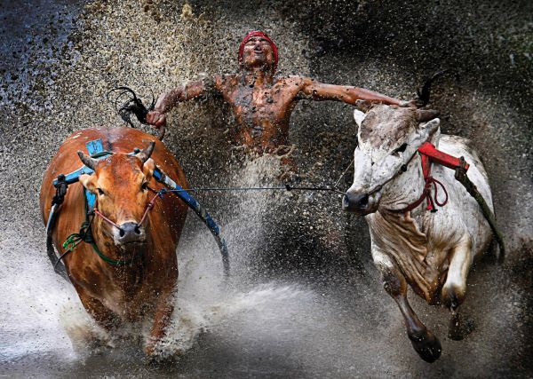 Malaysian Wei Seng Chen's winning entry in the sports singles category. Pictures: AP